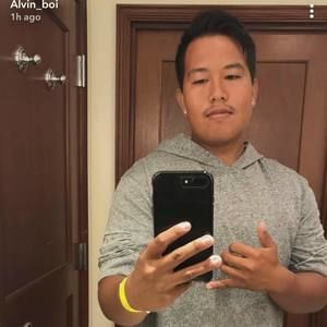 Meet your Posher, Alvin